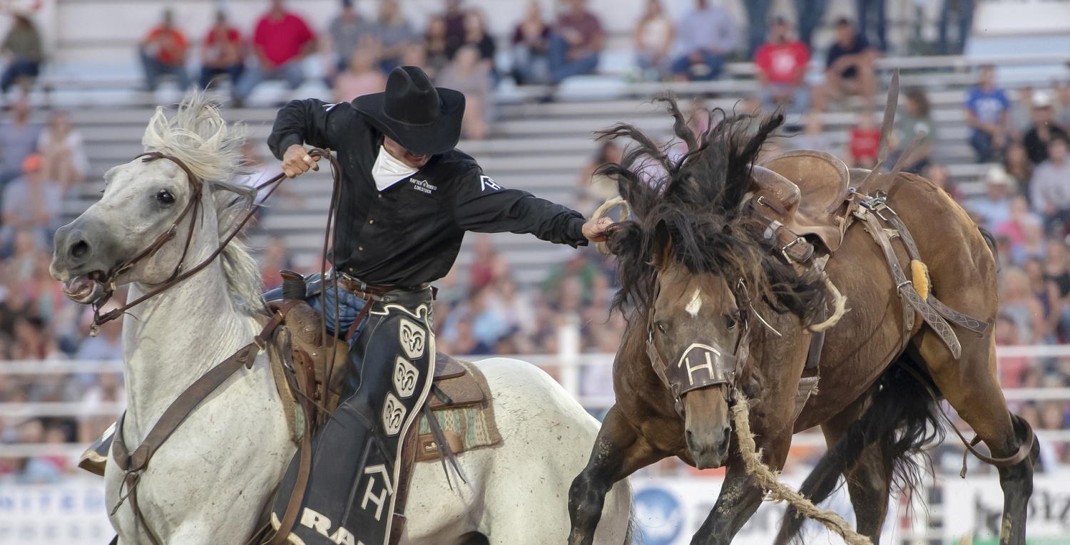 How to Watch the American Rodeo online? Gamenguide
