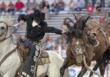 How to Watch the American Rodeo online?	