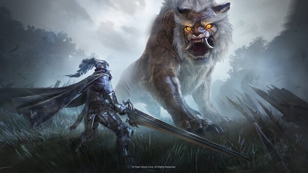 Black Desert Black Desert