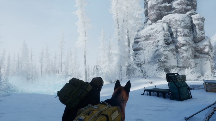 Permafrost: New Frosty Survival Game Announced Coming to Steam Early Access in 2025