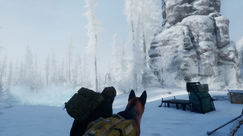 Permafrost: New Frosty Survival Game Announced Coming to Steam Early Access in 2025