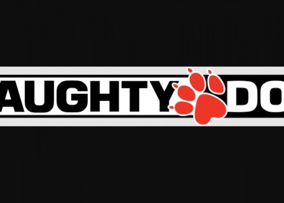 New Naughty Dog Game Teased by The Last of Us Co-Creator Neil Druckmann