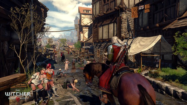 The Witcher 3: Wild Hunt The Witcher 3: Wild Hunt