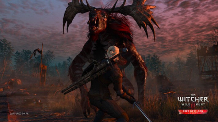 The Witcher 3