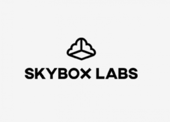 Skybox Labs Lays Off 25 Employees Following Netease's Recent Troubles