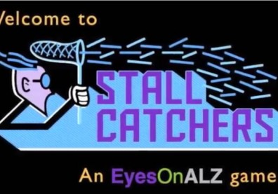 Stall Catchers introduction and tutorial