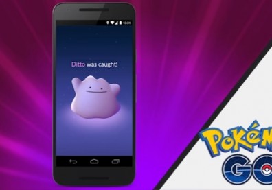 Ditto has been discovered!