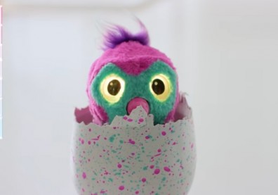 How To Play With Your Hatchimals