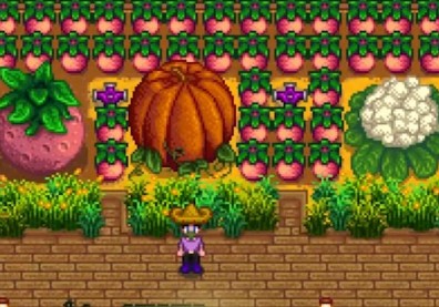 'Stardew Valley' Guide & Tips: How To Grow A Giant Crop On The Farm, Fairy & Witch During The Night?